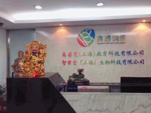 高感觉与上海教育科技的融合 探索区域教育创新之路